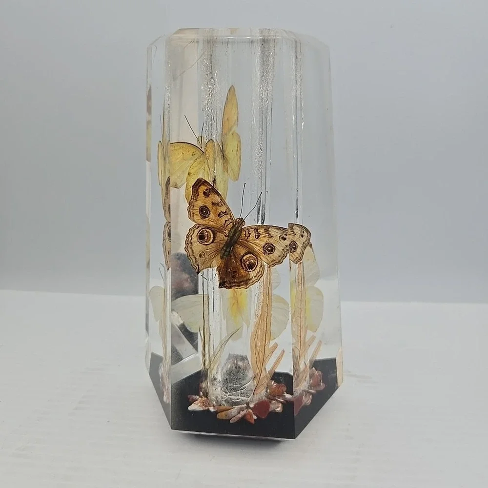70's Acrylic Vase Real Butterfly Wings Foliage Vintage Lucite Tapered Hexagon GA